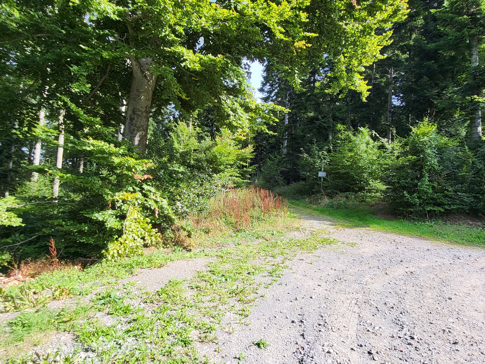 + Ruhe in der Natur genießen + EG Wohnung mit Garten nähe Herrenalb